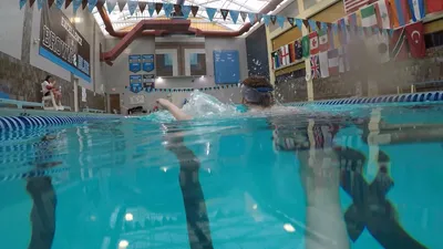 SwimSense screenshot